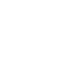 Flunixin 20mg 10 comprimidos